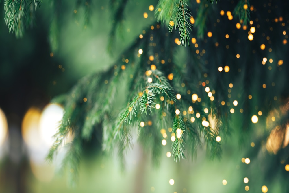 Christmas tree outdoor with snow, lights bokeh around, and snow falling, Christmas atmosphere. SSUCv3H4sIAAAAAAAACnRRy27DIBC8V+o/WJxjKQm2G/cLemp7j3pYYB3TEIgAt4qi/Ht5hIpDe2Nndmd22OvjQ9MQBk5y8txcYxVqqdTivAUvjQ7wenXHLWqBtkZQSG+sBFWDDDyfNZwwgHpRKsK3RBLnwS8OXTS7Qxw8HoJGBn8l8kb7XDeFSGSYCBR5MUoKuDiyqji3sMi9sU/k3pHCZK9/hF7DThb/knlXoL1rQIvGW8RKLz8+SmQ4oOaXlKpKa1Eh5LT73EqO3x7tqc4Pi5Cmiv5lOKjYQCuls5Vc6kM1ZvycTlHGuFm0t3EFslnvShiijDkDU/EUU5DFgs/gXJgQBa+8eLi9OVVW2viUgWRVIsLFkg/ddttuHIeu60e62fXDvSFfeZZBJ21UhELNj1LU6WXcgOye+kEITls6Mmy7ccNbBhNt1xNl0zj0w1PXh7+//QAAAP//AwBogb/jrwIAAA==
