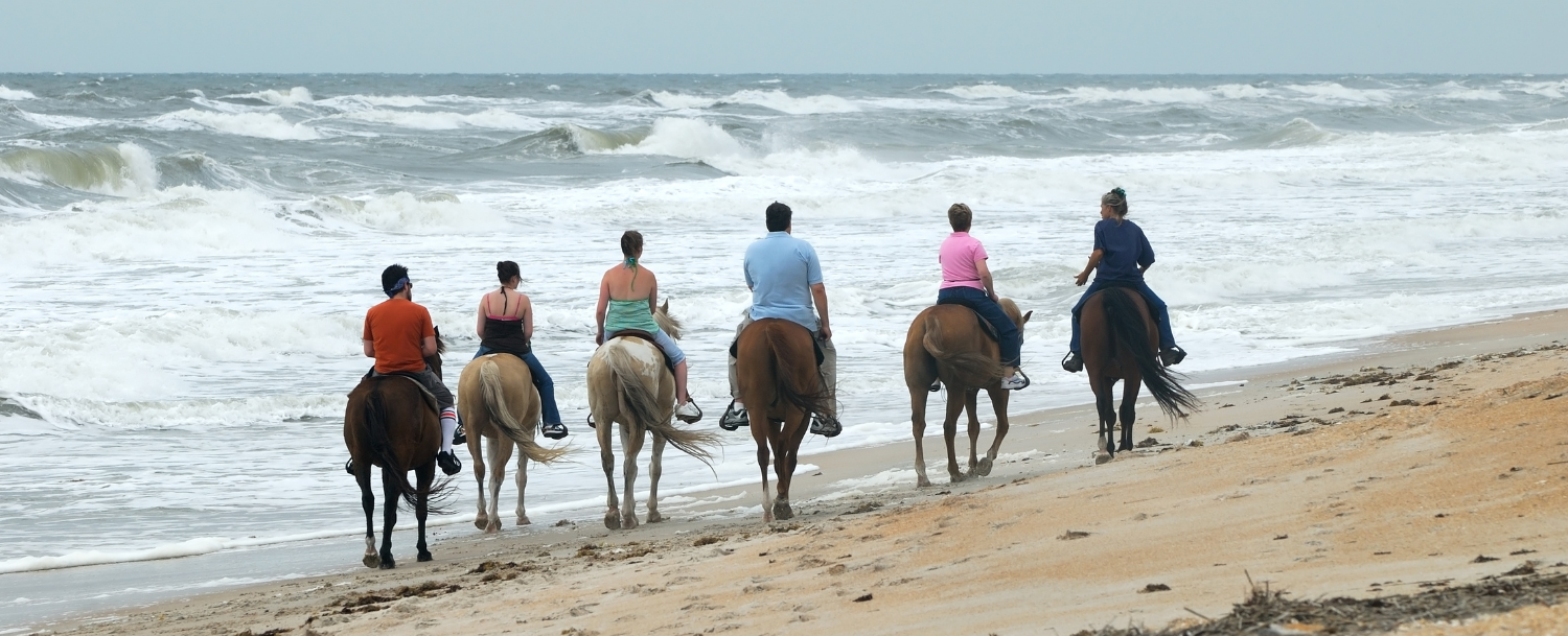 best outer banks horse tours