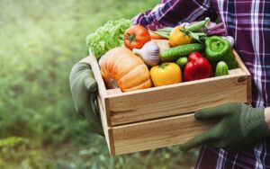 Outer banks farmers market - box of fresh farm vegetables
