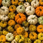 Thanksgiving Background Image